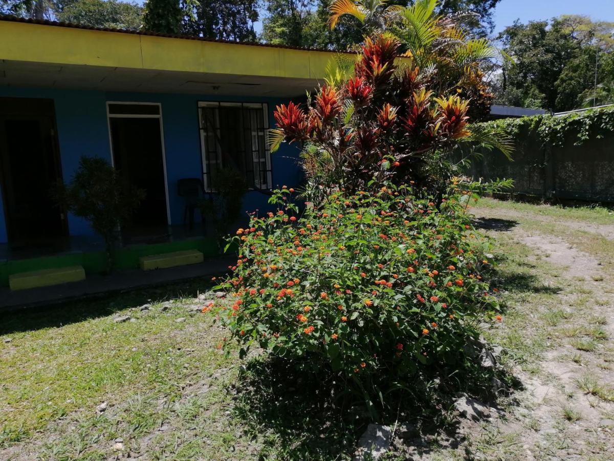 Magica flores Appartamento Cahuita Esterno foto
